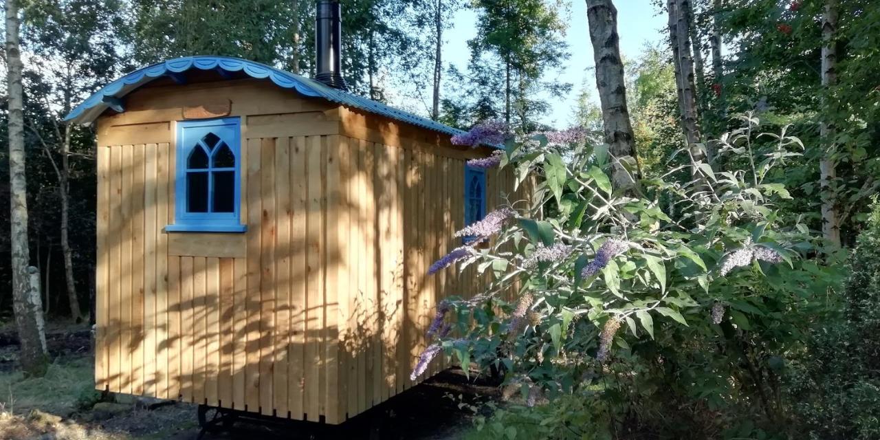 Sapphire Forest Garden Shepherd'S Hut Church Stretton Exterior photo